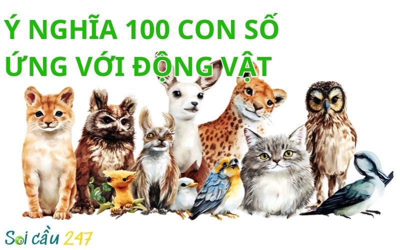Ý Nghĩa 100 Con Số Ứng Với Động Vật
